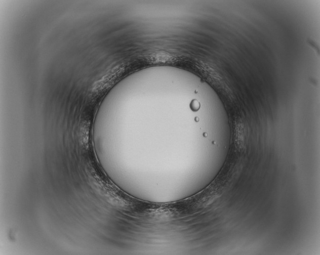 X0000103260545200809121925