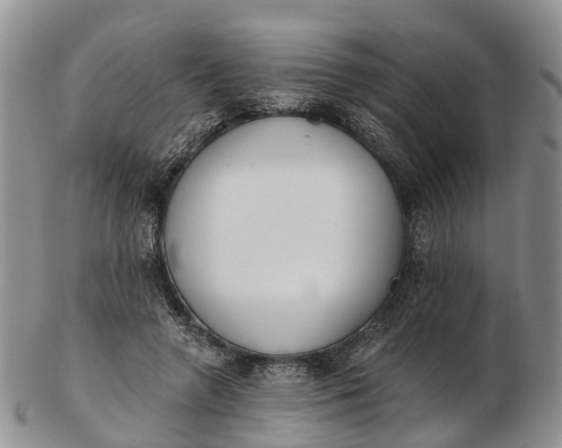 X0000103260546200809121925