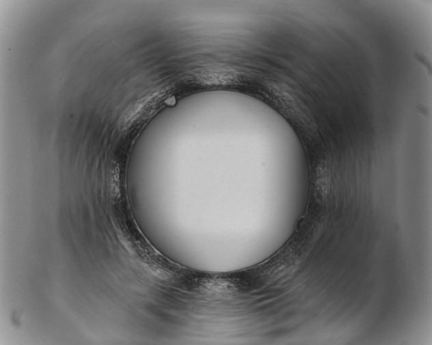 X0000103260547200809121925