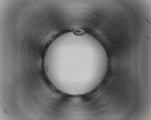 X0000103260548200809121925