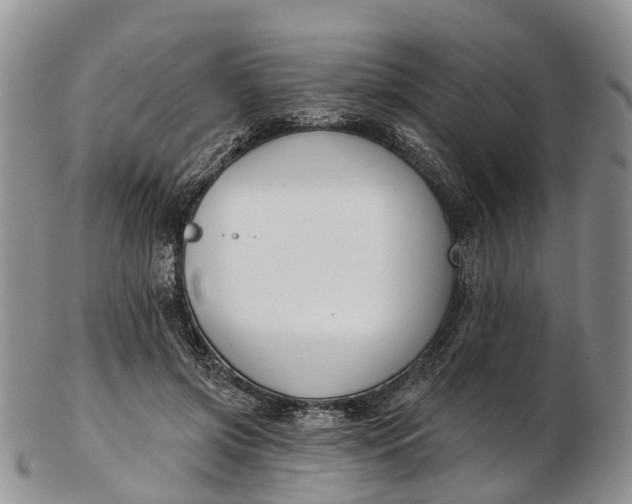 X0000103260549200809121925