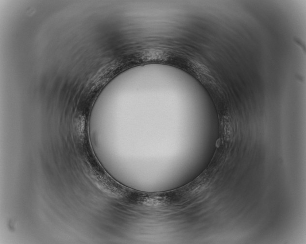 X0000103260550200809121925