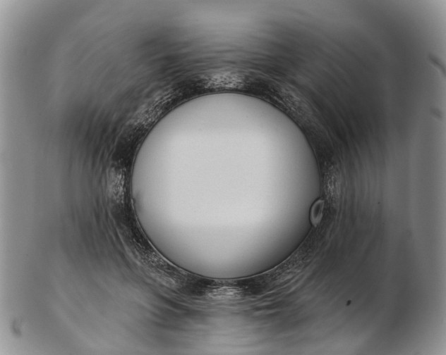 X0000103260551200809121925