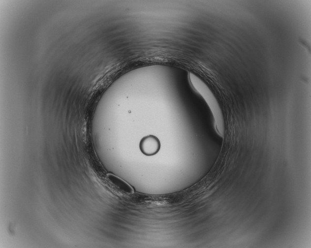 X0000103260552200809121925