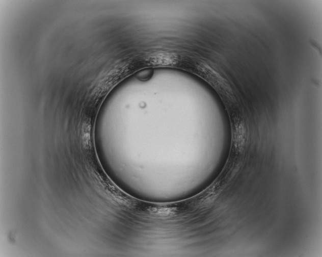 X0000103260553200809121925