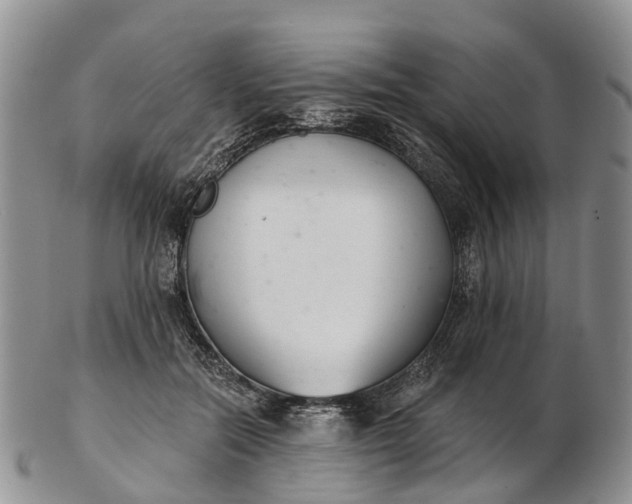 X0000103260554200809121925