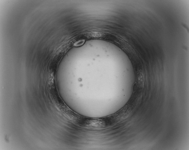 X0000103260555200809121925