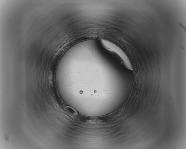 X0000103260556200809121925