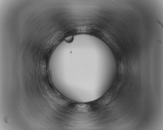 X0000103260557200809121925