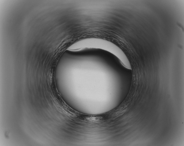 X0000103260558200809121925