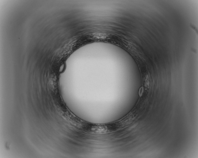 X0000103260559200809121925