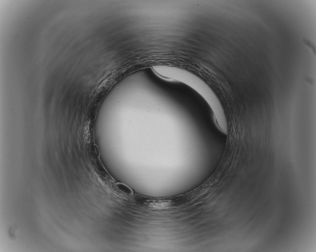 X0000103260560200809121925