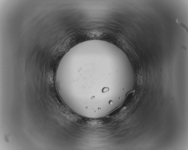 X0000103260561200809121925