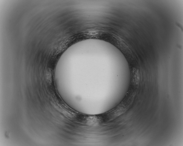 X0000103260562200809121925