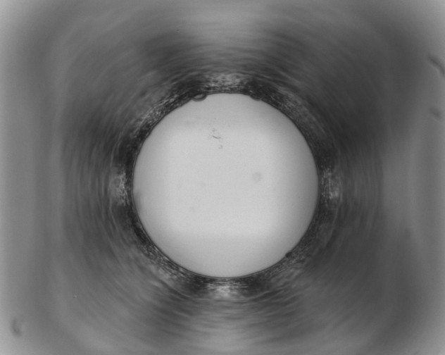 X0000103260564200809121925