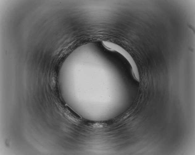 X0000103260566200809121926