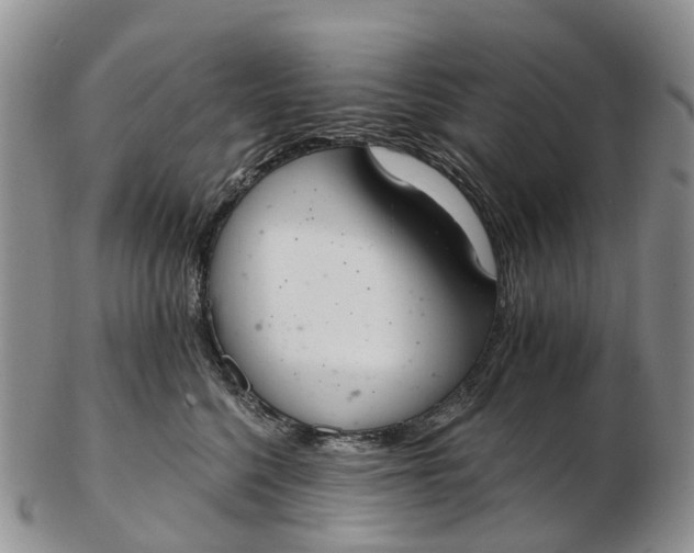 X0000103260568200809121926