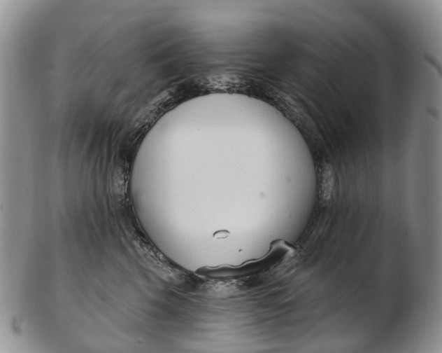 X0000103260569200809121926