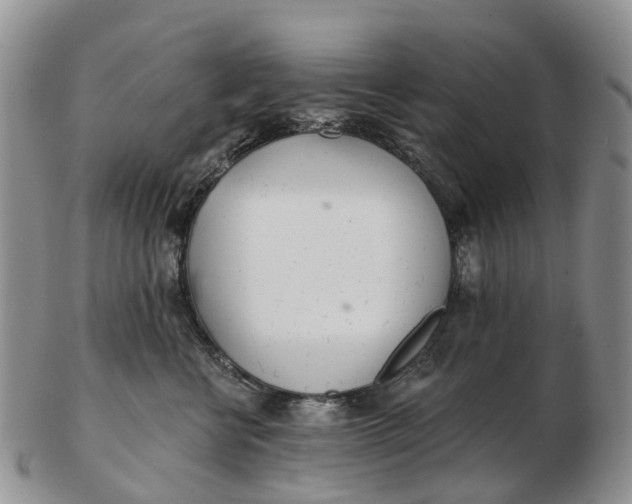 X0000103260570200809121926