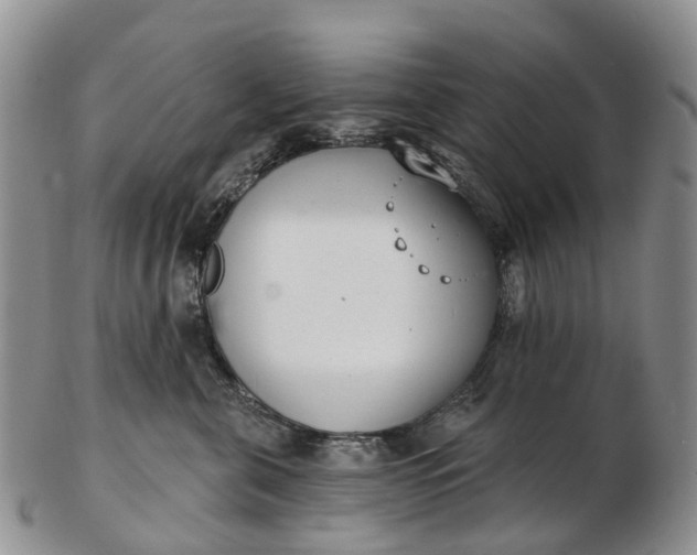 X0000103260571200809121926