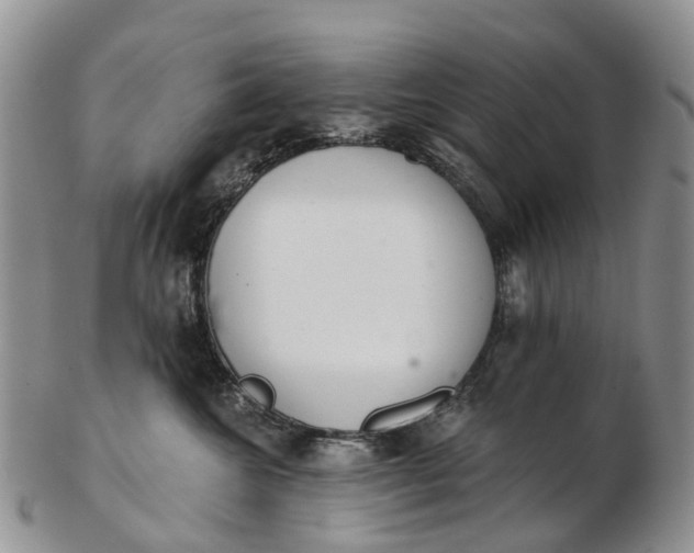 X0000103260572200809121926