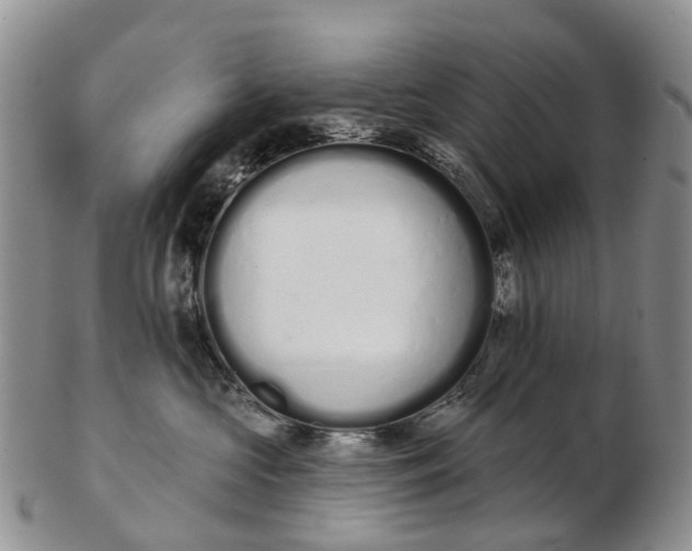 X0000103260573200809121926