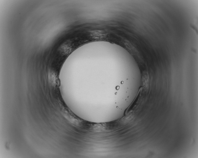 X0000103260574200809121926