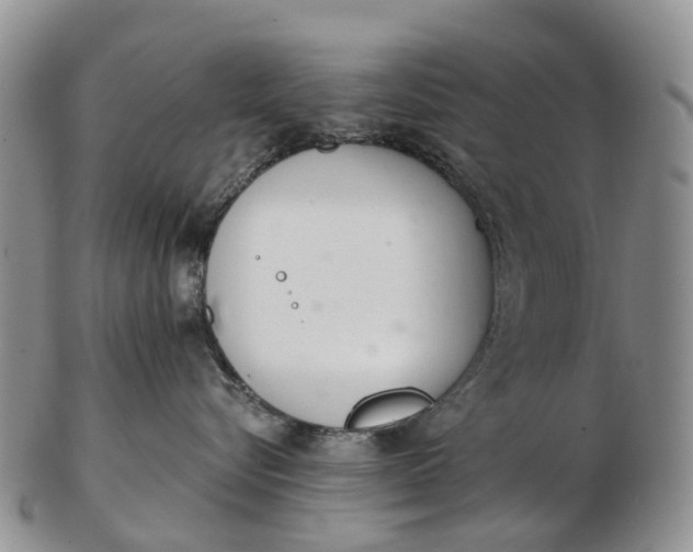 X0000103260576200809121926