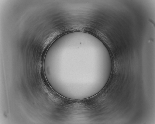 X0000103260578200809121925