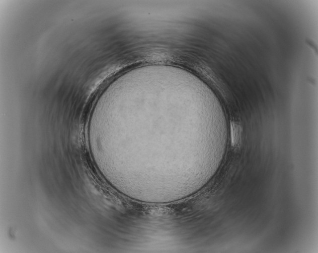 X0000103260579200809121925