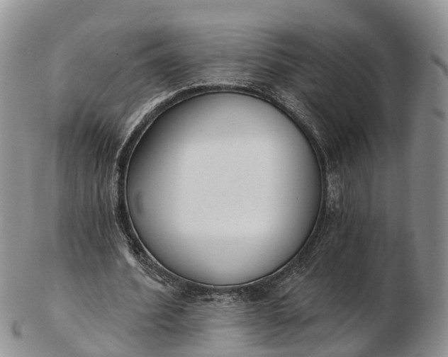 X0000103260580200809121925