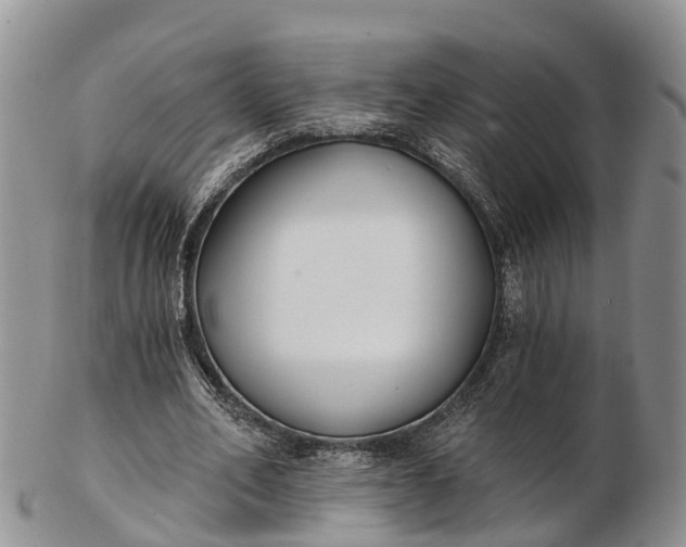 X0000103260582200809121925