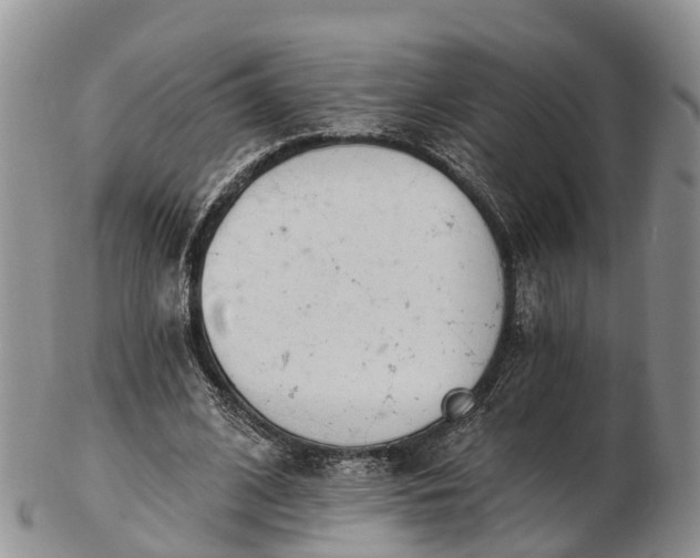 X0000103260584200809121925