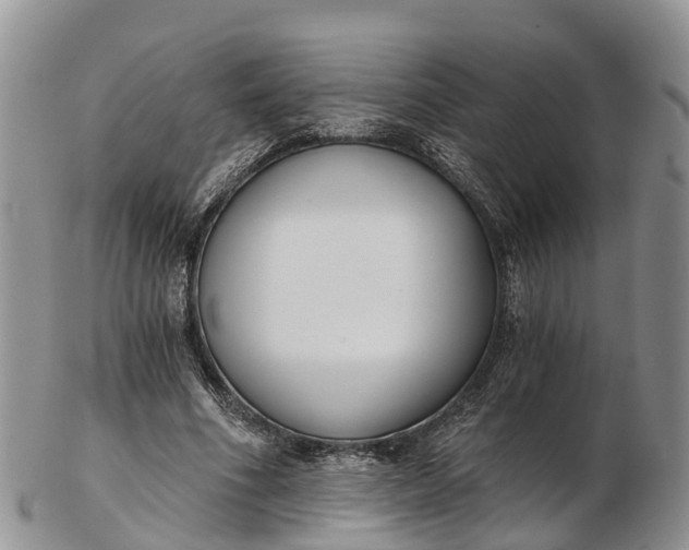 X0000103260586200809121925