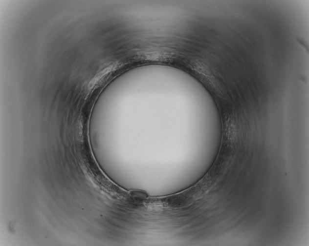 X0000103260587200809121925