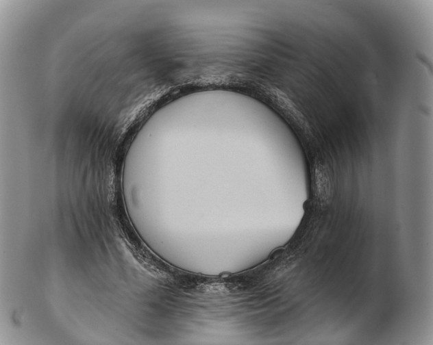 X0000103260588200809121925