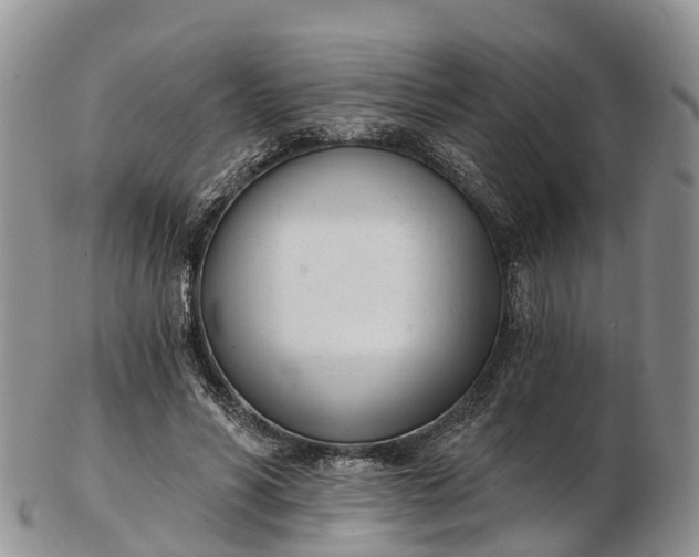 X0000103260590200809121925