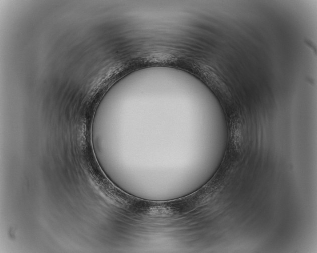 X0000103260591200809121925