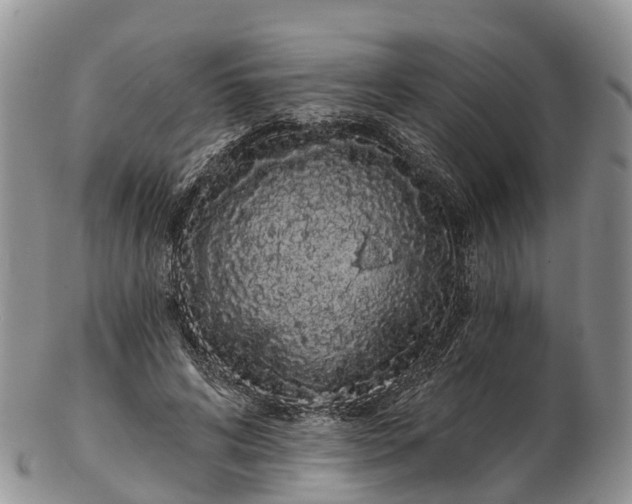 X0000103260592200809121925