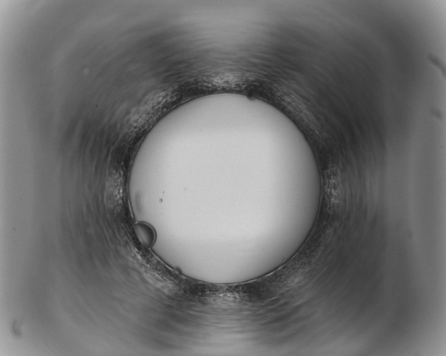 X0000103260593200809121925