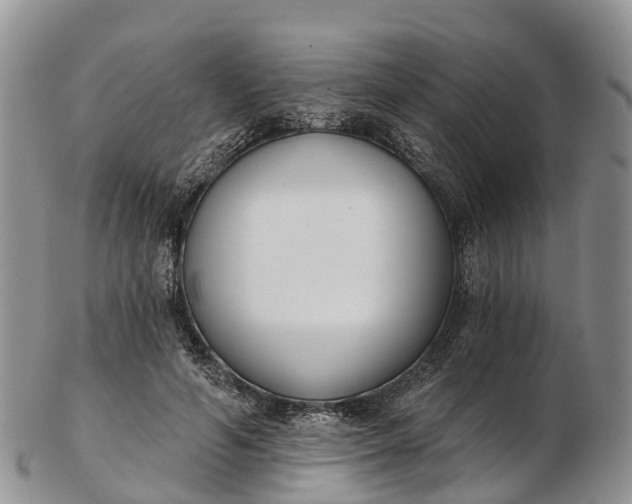 X0000103260594200809121925