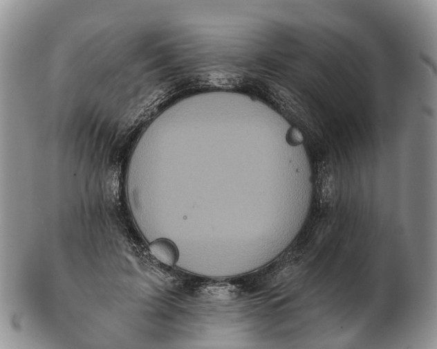 X0000103260595200809121925