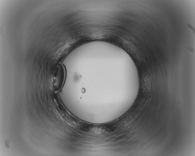 X0000103260596200809121925