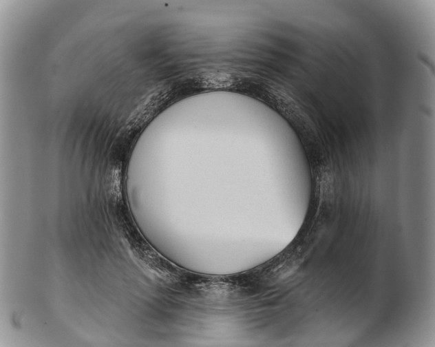 X0000103260598200809121925