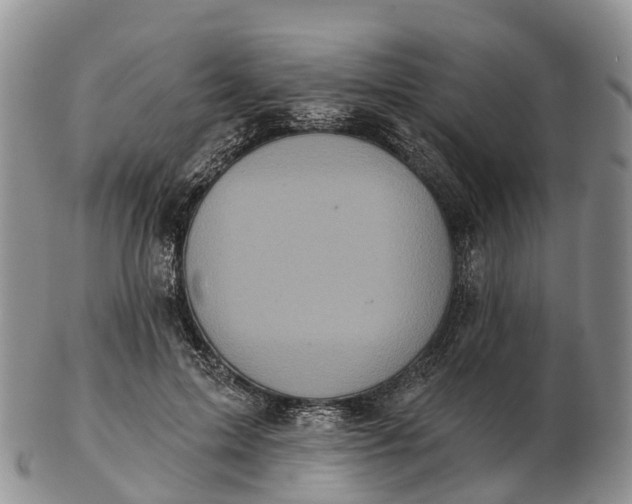 X0000103260599200809121925