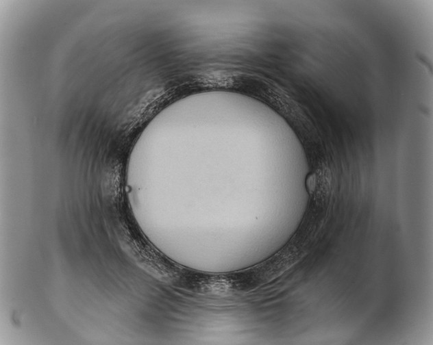 X0000103260600200809121925