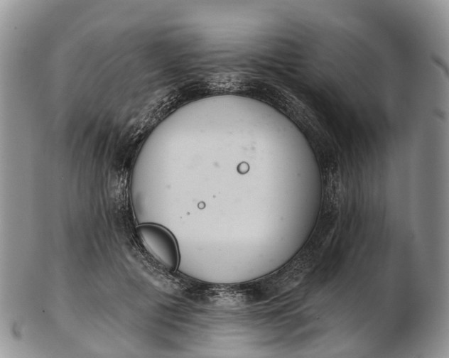 X0000103260601200809121925