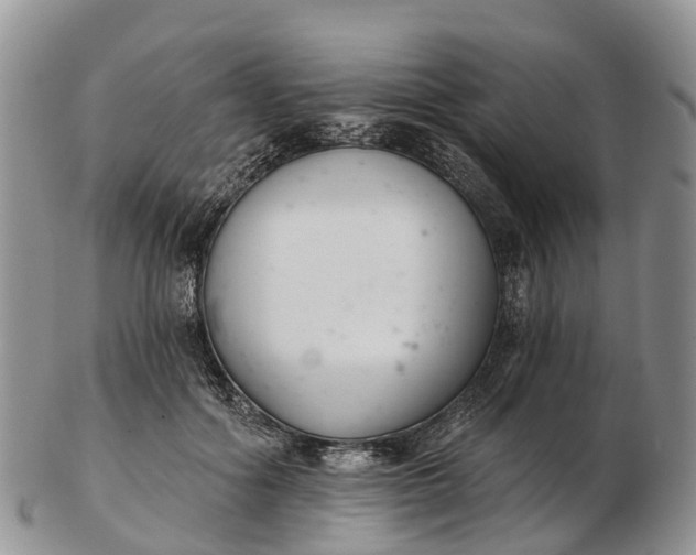 X0000103260602200809121925