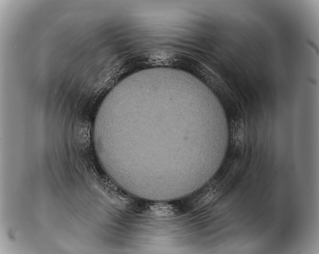 X0000103260603200809121925