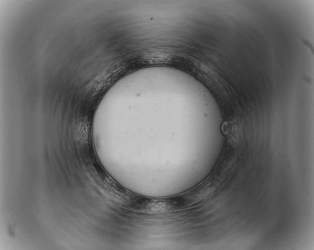 X0000103260604200809121925